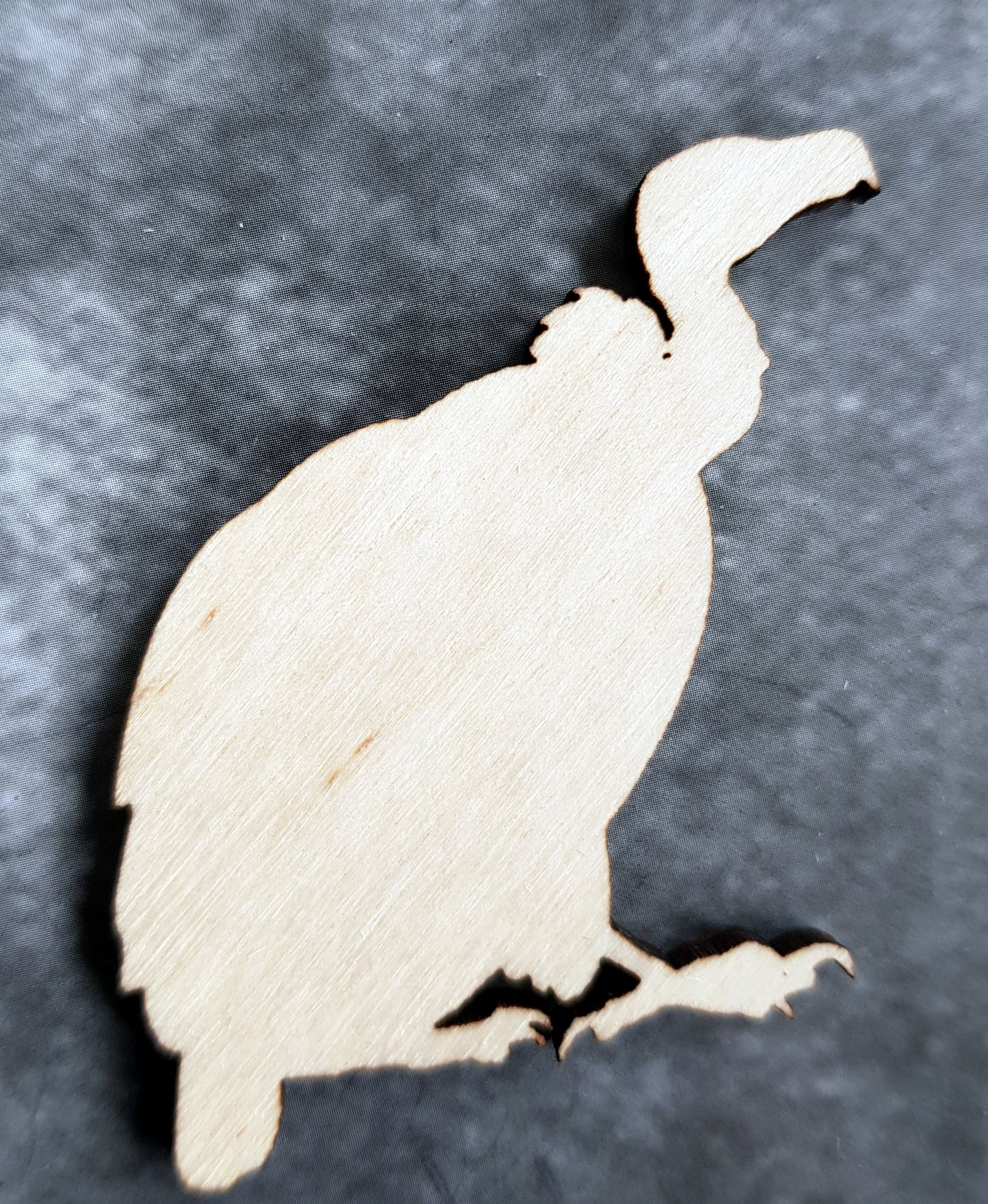 Wooden animal shapes Sonoran desert cut outs wood crafts decoration DIY decor
