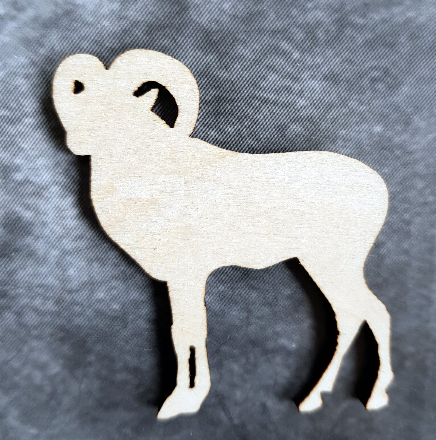 Wooden animal shapes Sonoran desert cut outs wood crafts decoration DIY decor