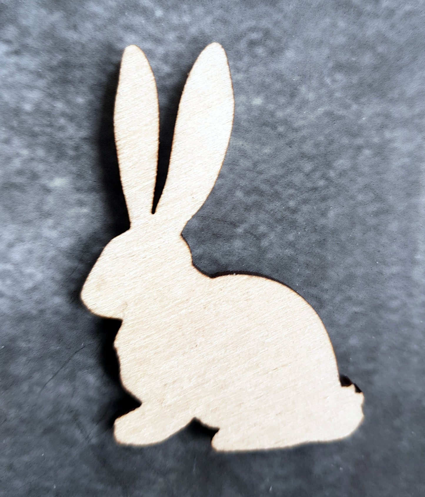 Wooden animal shapes Sonoran desert cut outs wood crafts decoration DIY decor
