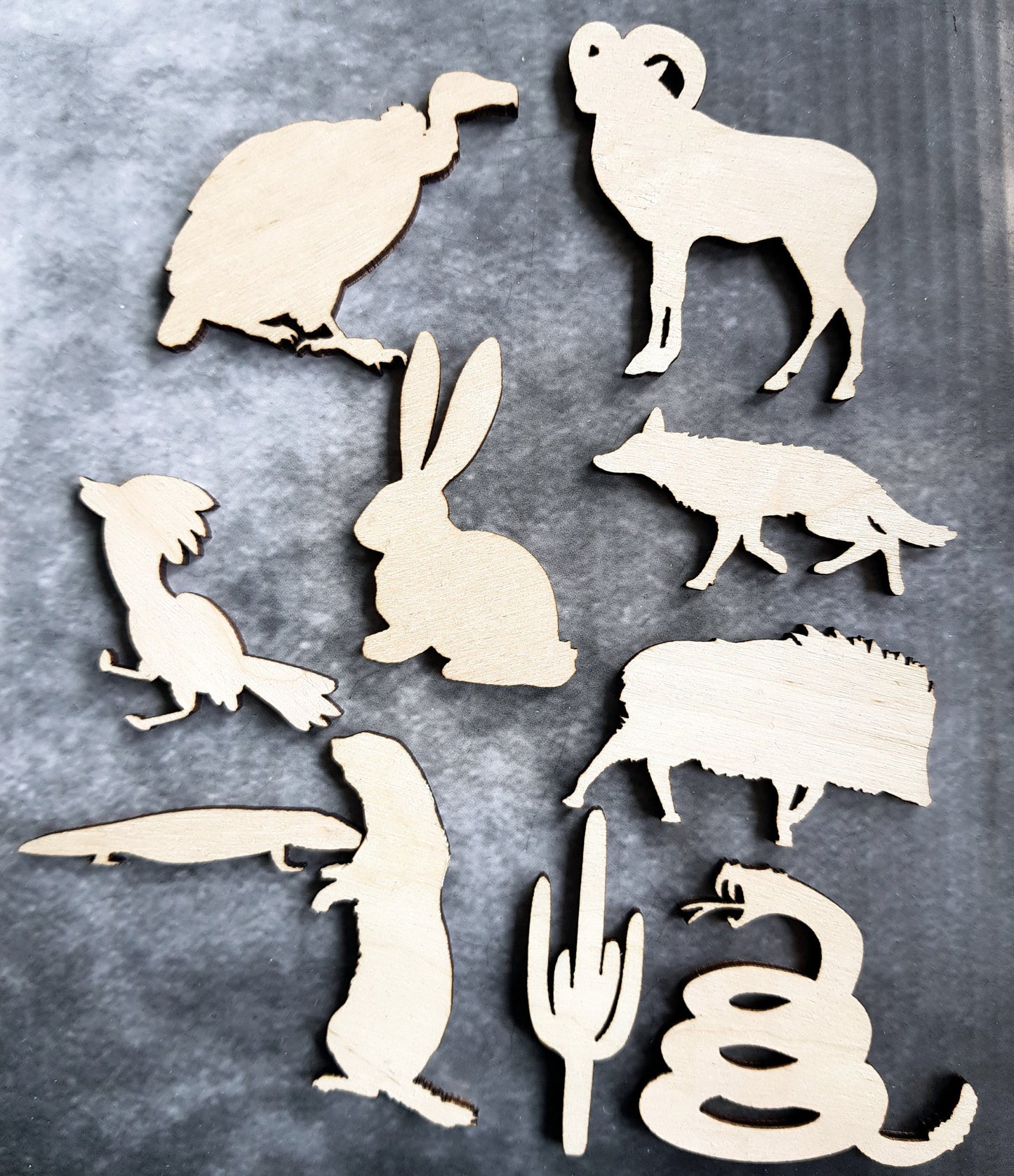 Wooden animal shapes Sonoran desert cut outs wood crafts decoration DIY decor